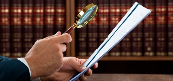 Gutachten (Правовая Экспертиза)